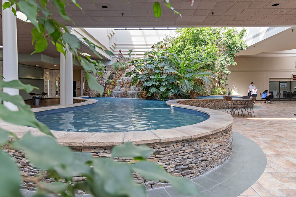 Vibrant Community Spaces for Rent in Mid Town Chattanooga